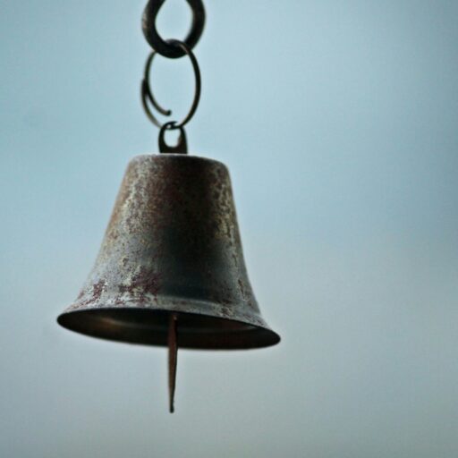 pexels photo 32363797 32363797